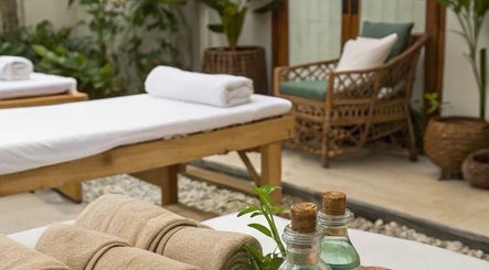 Spa beds and natural decor at Restore & Renew, Boston, Massachusetts, US offering tranquil wellness.