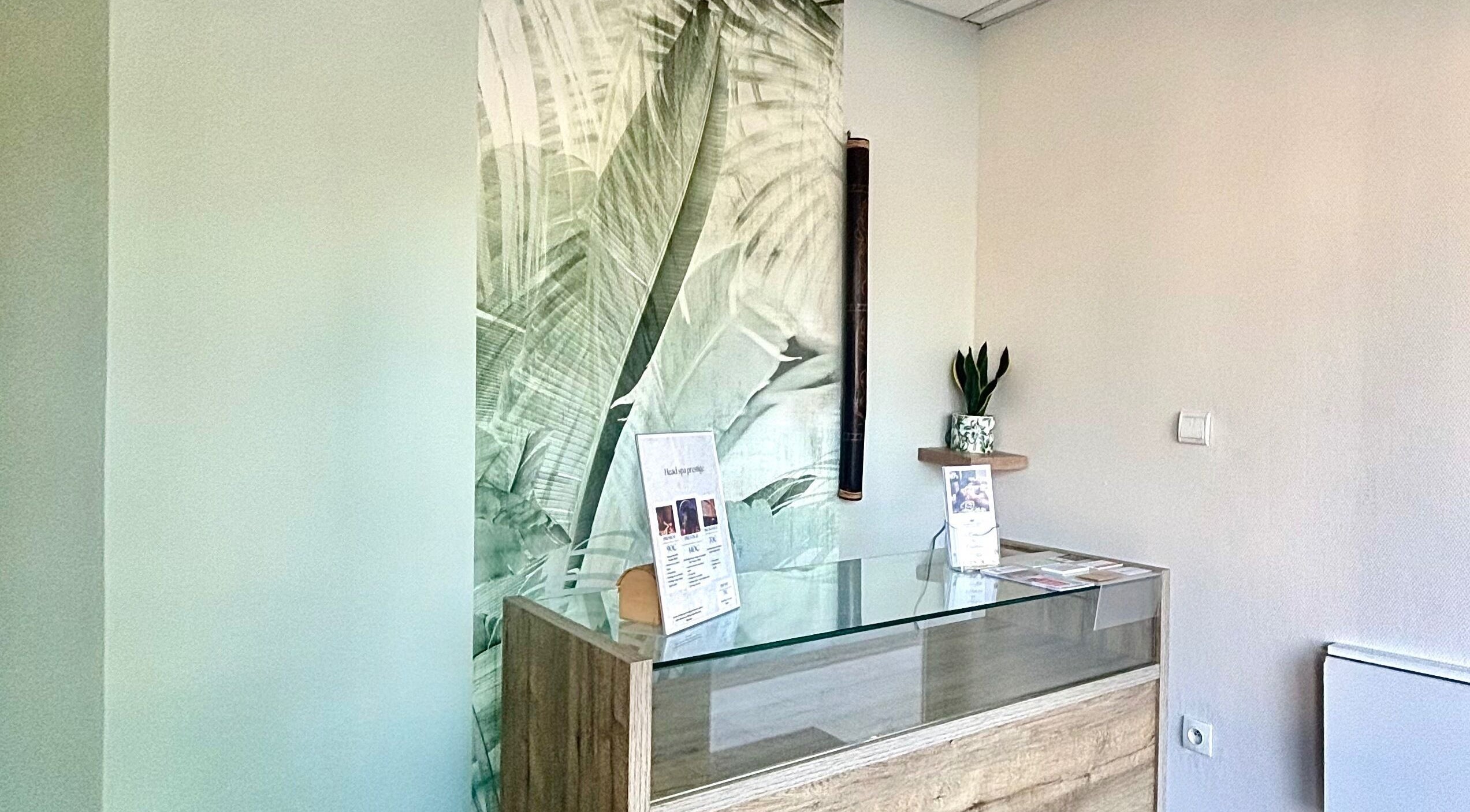 Réception apaisante de l'Institut c’zen à Artix, Nouvelle-aquitaine, FR, avec décor tropical.