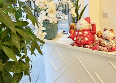 Inviting reception at Moon Beauty, London, England, GB with decorative lucky cats and orchids.