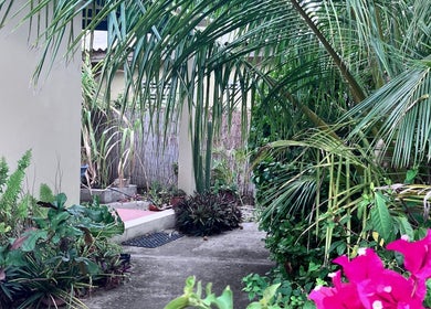 Lush garden pathway at Iyengar Holistic in Willemstad, CW, offering a serene nature escape.