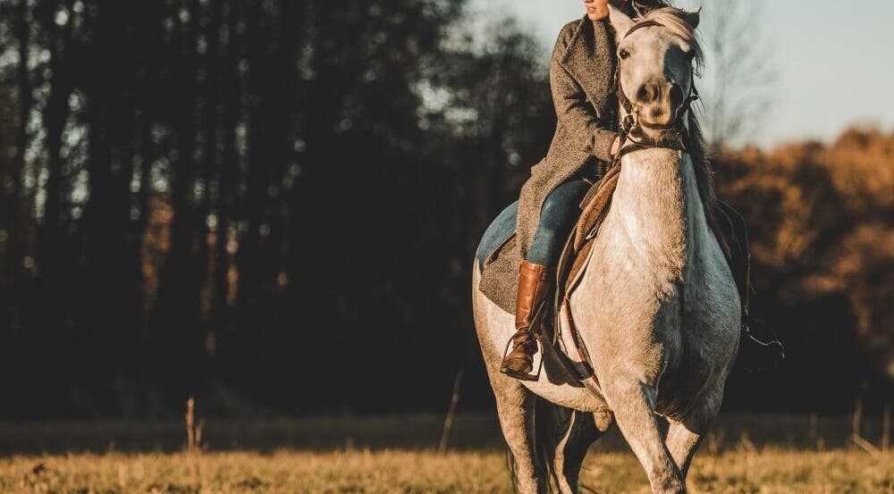 Person horseback riding at zva, IR with a forest backdrop.