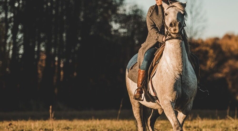 Person horseback riding at zva, IR with a forest backdrop.