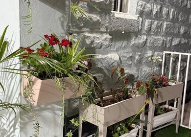 Lush plants at Papaya Wellness, Nairobi, Nairobi County, KE, enhancing a peaceful stone terrace.