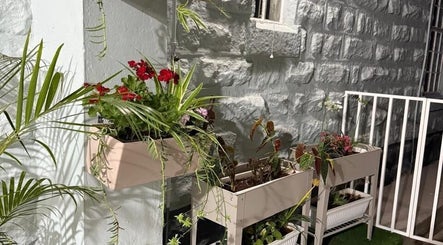 Lush plants at Papaya Wellness, Nairobi, Nairobi County, KE, enhancing a peaceful stone terrace.