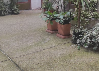 Cour verdoyante chez Janesophrologue, Paris, Île-de-France, FR, avec pots de plantes luxuriantes.
