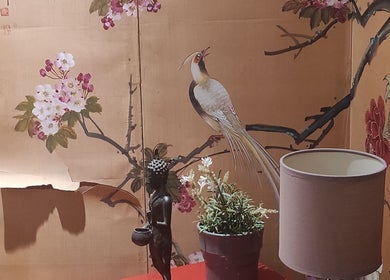 Décoration murale florale avec oiseau exotique à Janesophrologue, Paris, Île-de-france, FR.