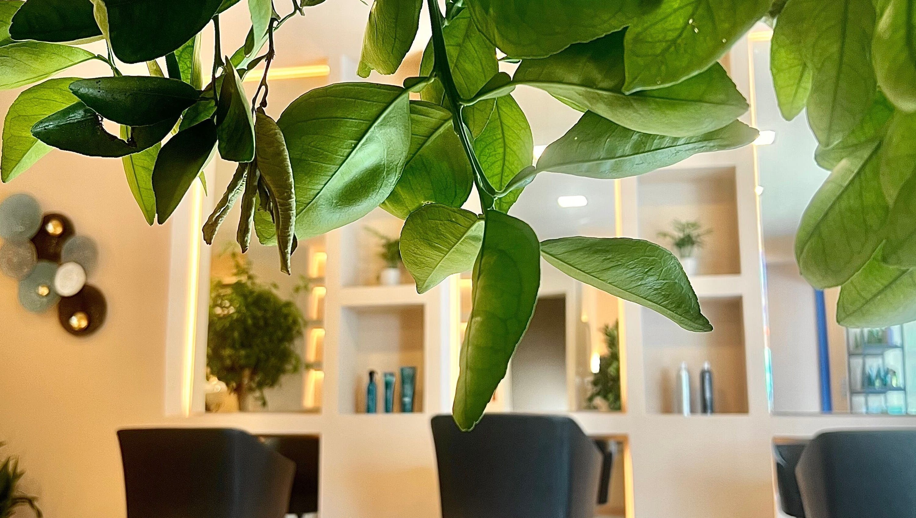 Lush green leaves creating a serene ambiance at Umeo Marbella, Marbella, Andalucía, ES, highlighting natural decor.
