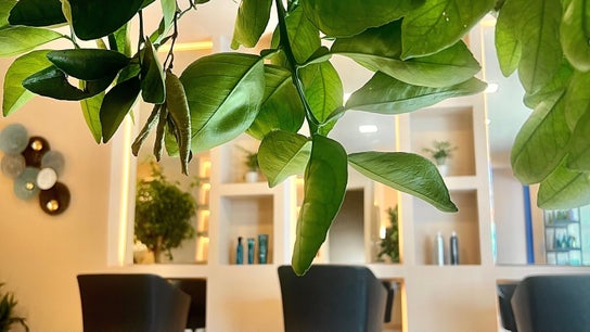 UMEO Marbella Aveda Salon