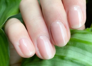 Mooie verzorgde nagels bij The Beauty Project in Boortmeerbeek, Vlaanderen, BE met groen blad op de achtergrond.
