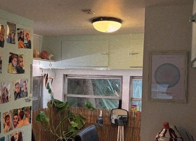 A cozy salon corner at Hopes 4 Hair, Melbourne, Victoria, AU featuring family photos and plants.