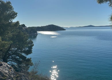 Küstenblick bei Alessandro Tasca, Bensheim, Hessen, DE, mit glitzerndem Wasser und üppigen Bäumen.
