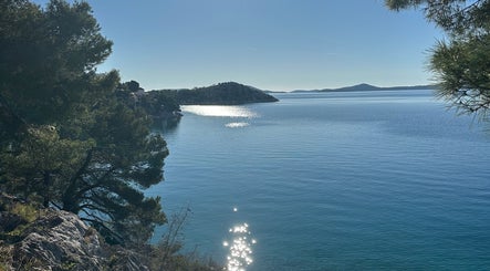 Küstenblick bei Alessandro Tasca, Bensheim, Hessen, DE, mit glitzerndem Wasser und üppigen Bäumen.