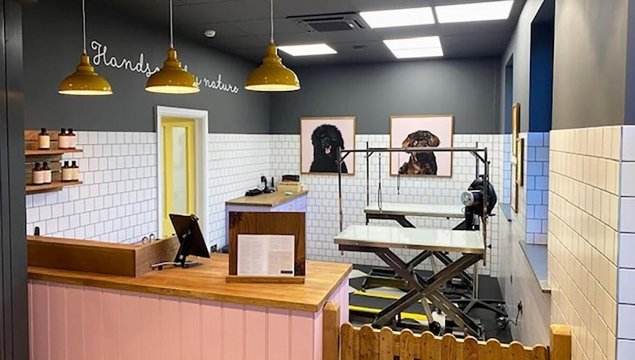 Bright grooming salon interior of Paws N' Bubbles, Makati City, Metro Manila, PH with modern decor.