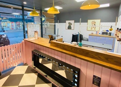 Inside view of Paws N' Bubbles grooming salon in Makati City, Metro Manila, PH, featuring stylish decor.