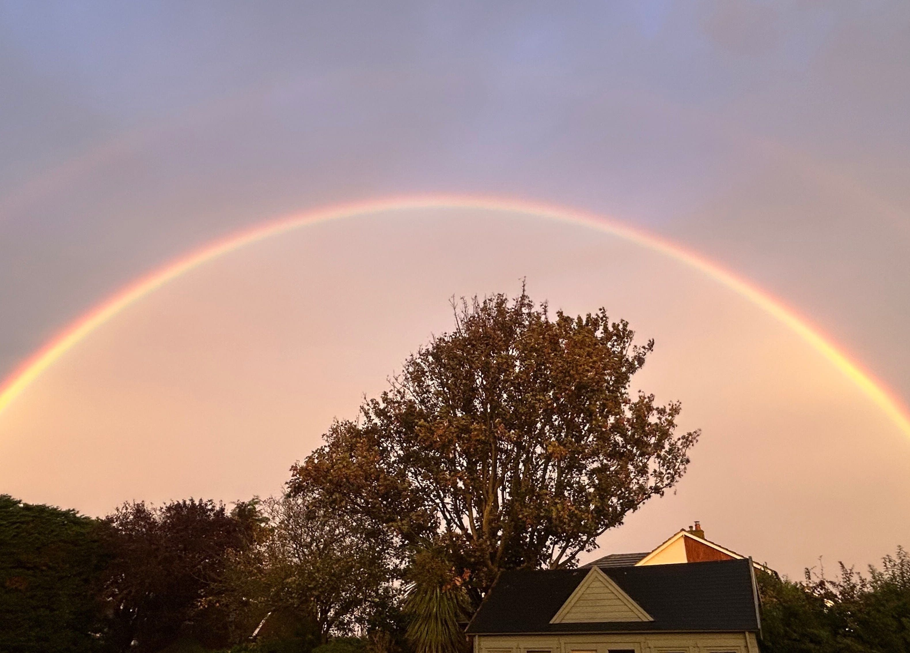 Vivid rainbow arches over trees at saltbrowstudio, Birchington-on-Sea, England, GB.