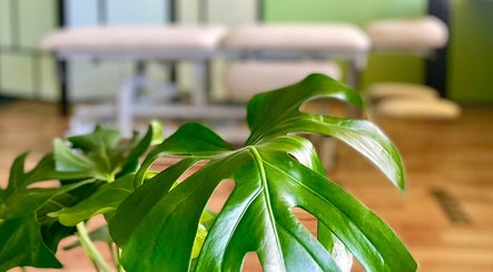 Lush green leaves in a tranquil setting at Serotoniin Studio, Tallinn, Harju maakond, EE.