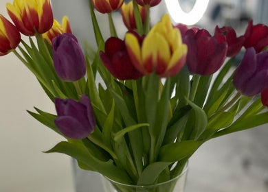Colorful tulips in a vase at Friseursalon Grande Grunewald, Berlin, Berlin, DE, enhancing the salon's ambiance.
