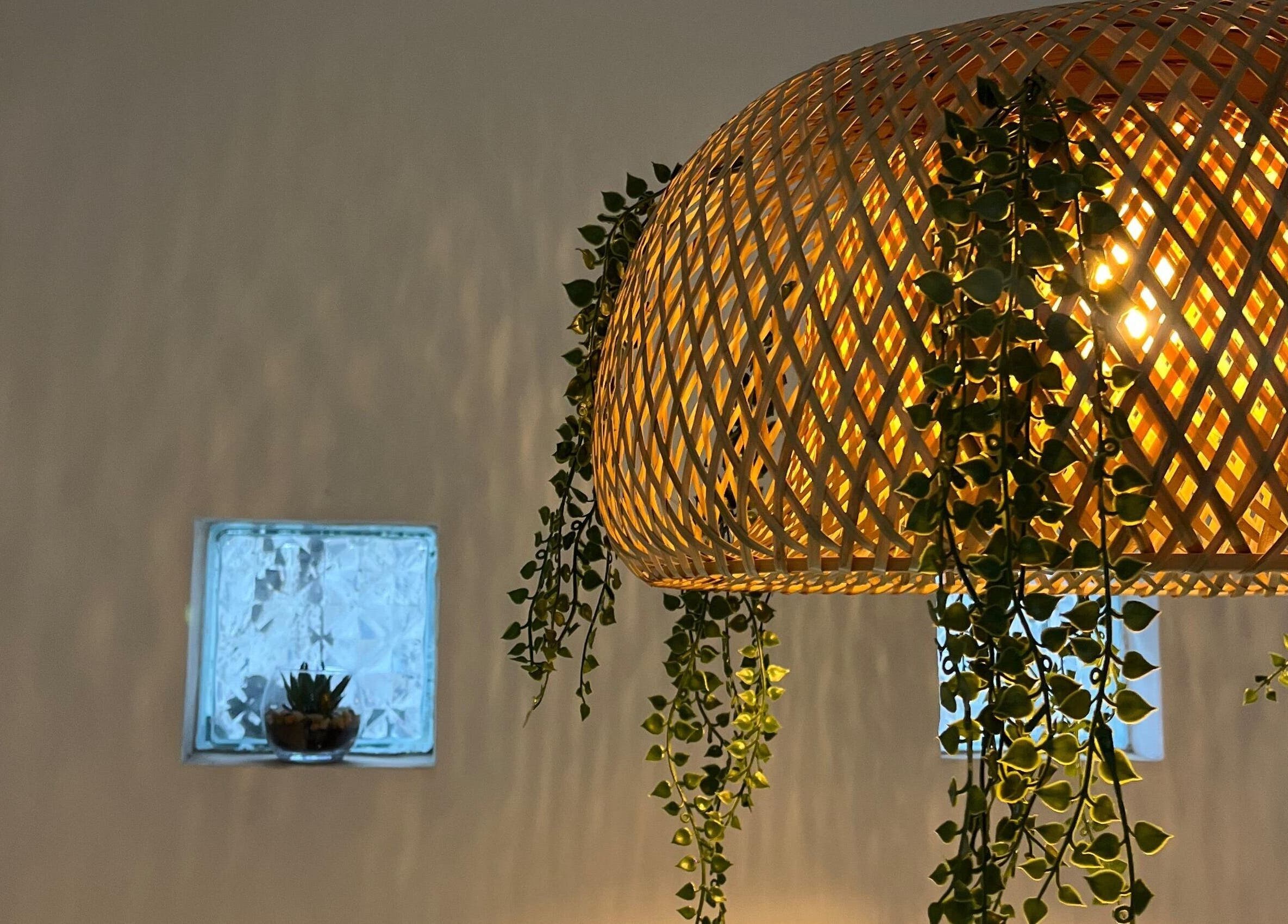Lámpara de mimbre con plantas colgantes en Salon de Estetica Family, Antofagasta, Antofagasta, CL.