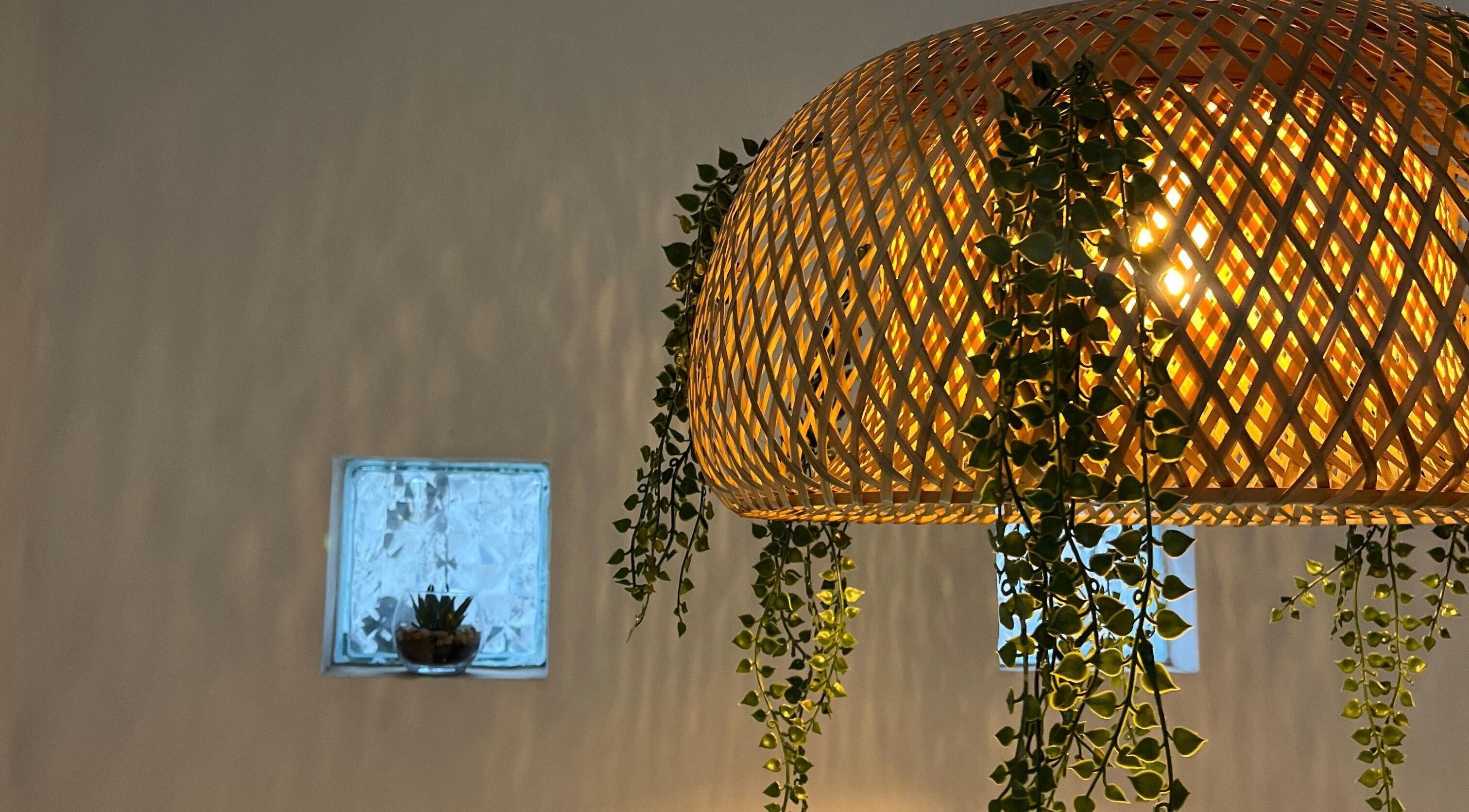 Lámpara de mimbre con plantas colgantes en Salon de Estetica Family, Antofagasta, Antofagasta, CL.