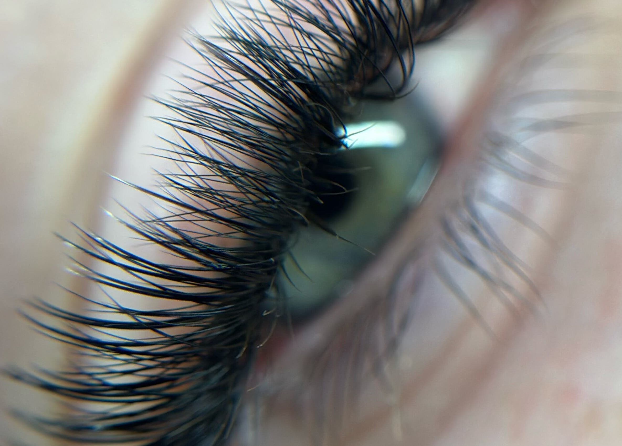 Close-up of an eye with accentuated lashes at Kae & Co Beauty Bar, Lakelands, Western Australia, AU.