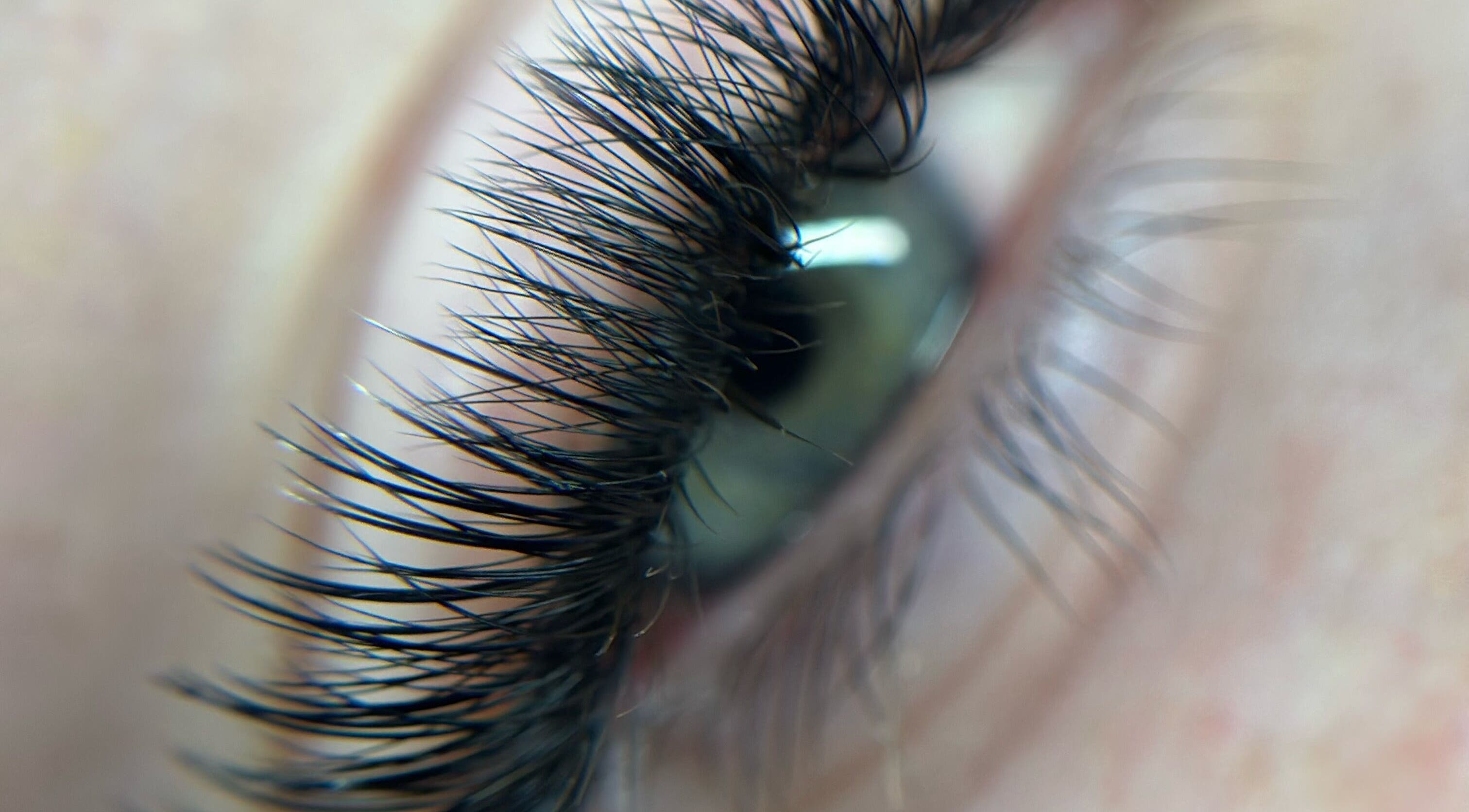 Close-up of an eye with accentuated lashes at Kae & Co Beauty Bar, Lakelands, Western Australia, AU.