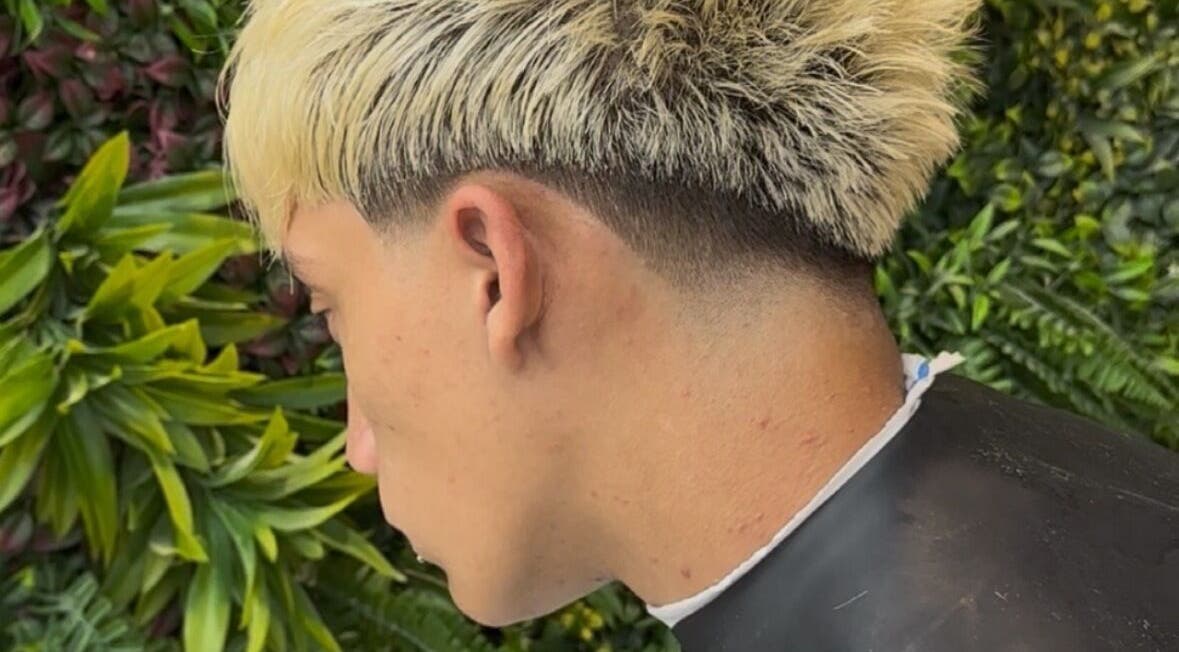 Corte moderno en Abrahan Rey, La Reina, Región Metropolitana, CL, rodeado de plantas vibrantes.