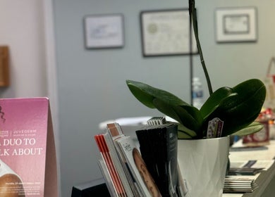 Welcome desk at Northshore Health and Beauty in Skokie, Illinois with plants and brochures.