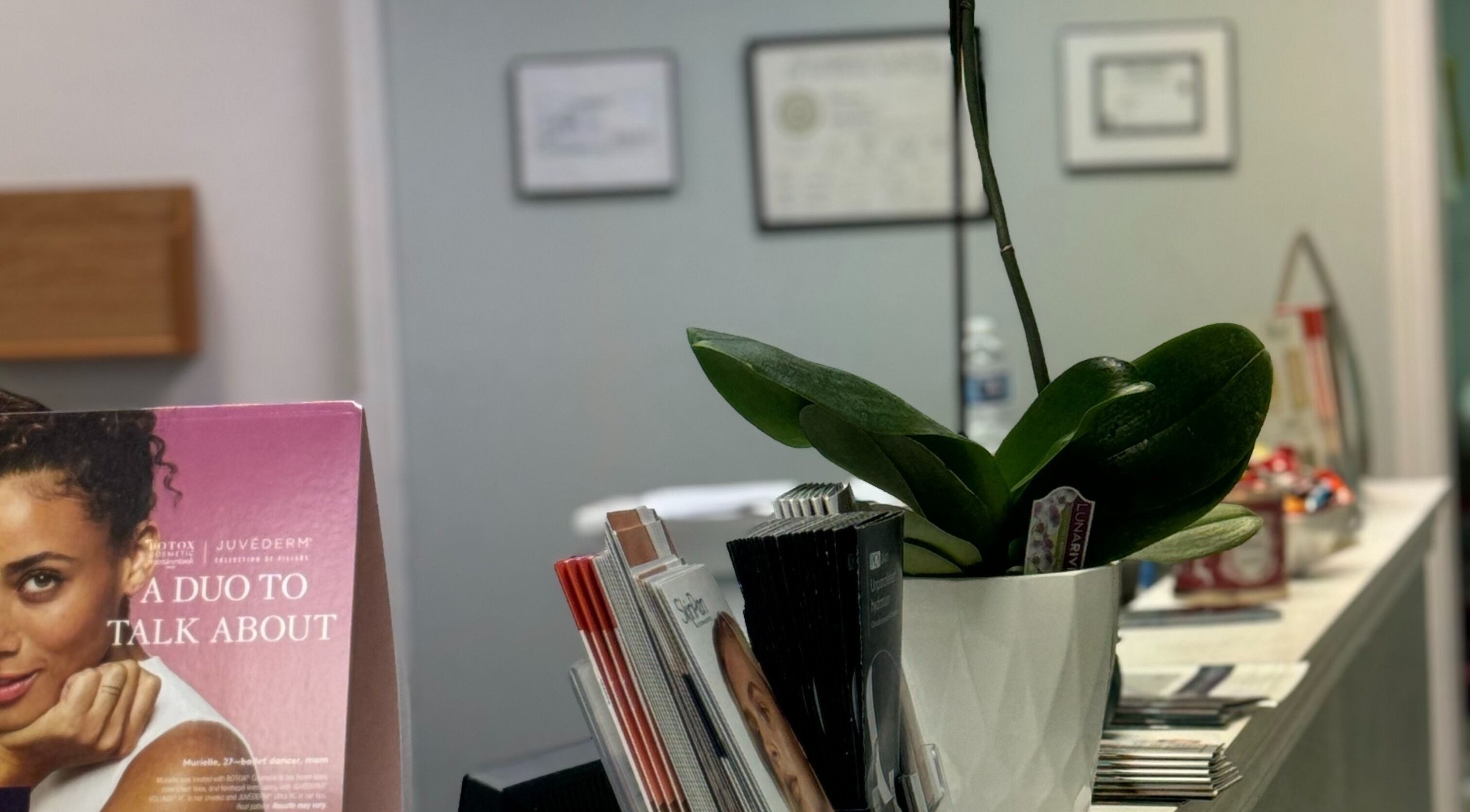 Welcome desk at Northshore Health and Beauty in Skokie, Illinois with plants and brochures.