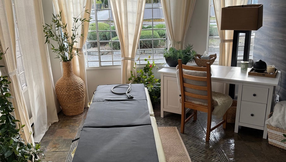 Tranquil therapy room at Pemf Healing Waves, Coquitlam, British Columbia, CA with natural light and plants.