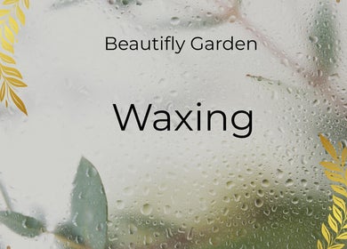 Elegant waxing service at Beautifly Garden, Sandton, Gauteng, ZA with decorative foliage.