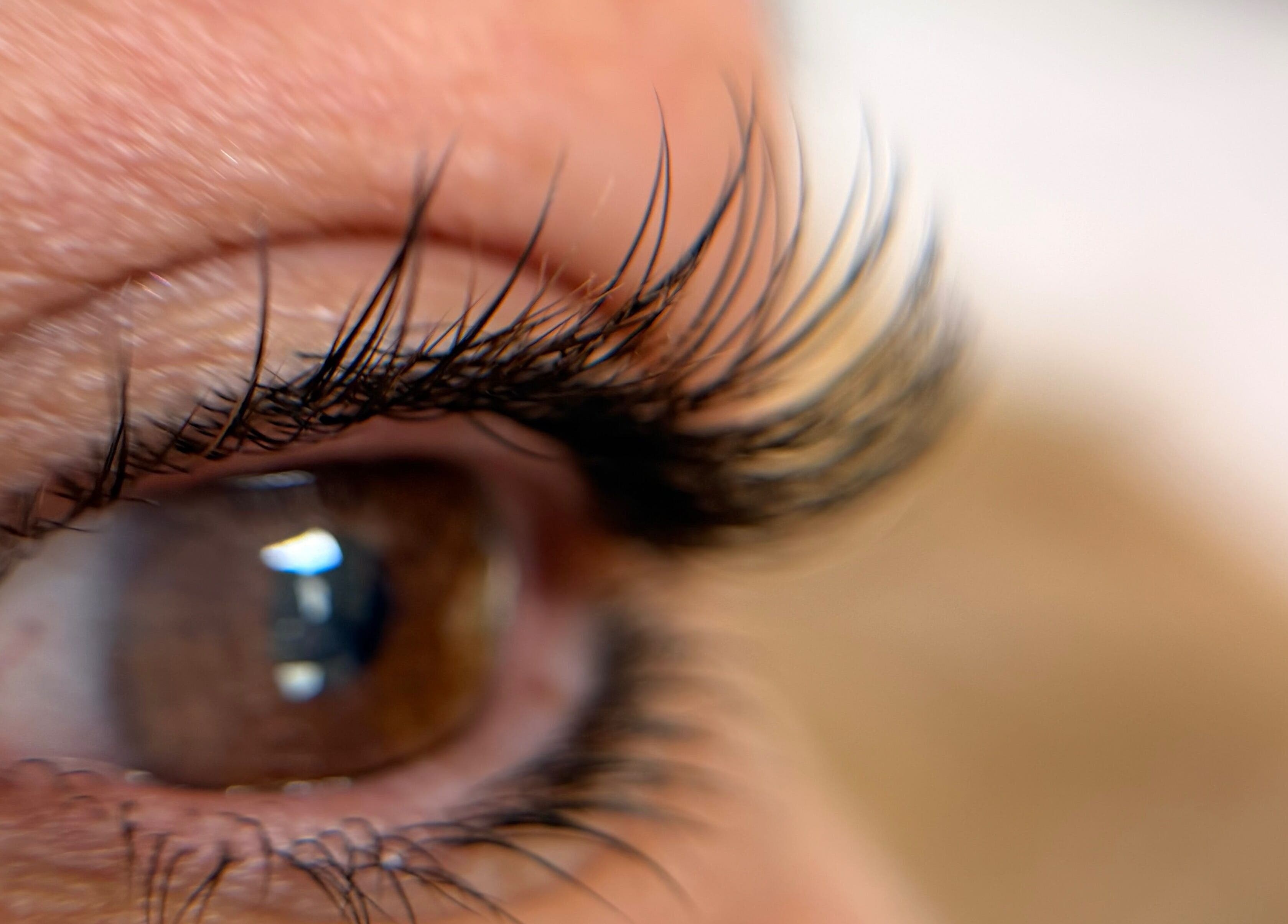 Close-up of expertly applied eyelashes from Yisel Luxe Lashes in Cutler Bay, Florida, US.