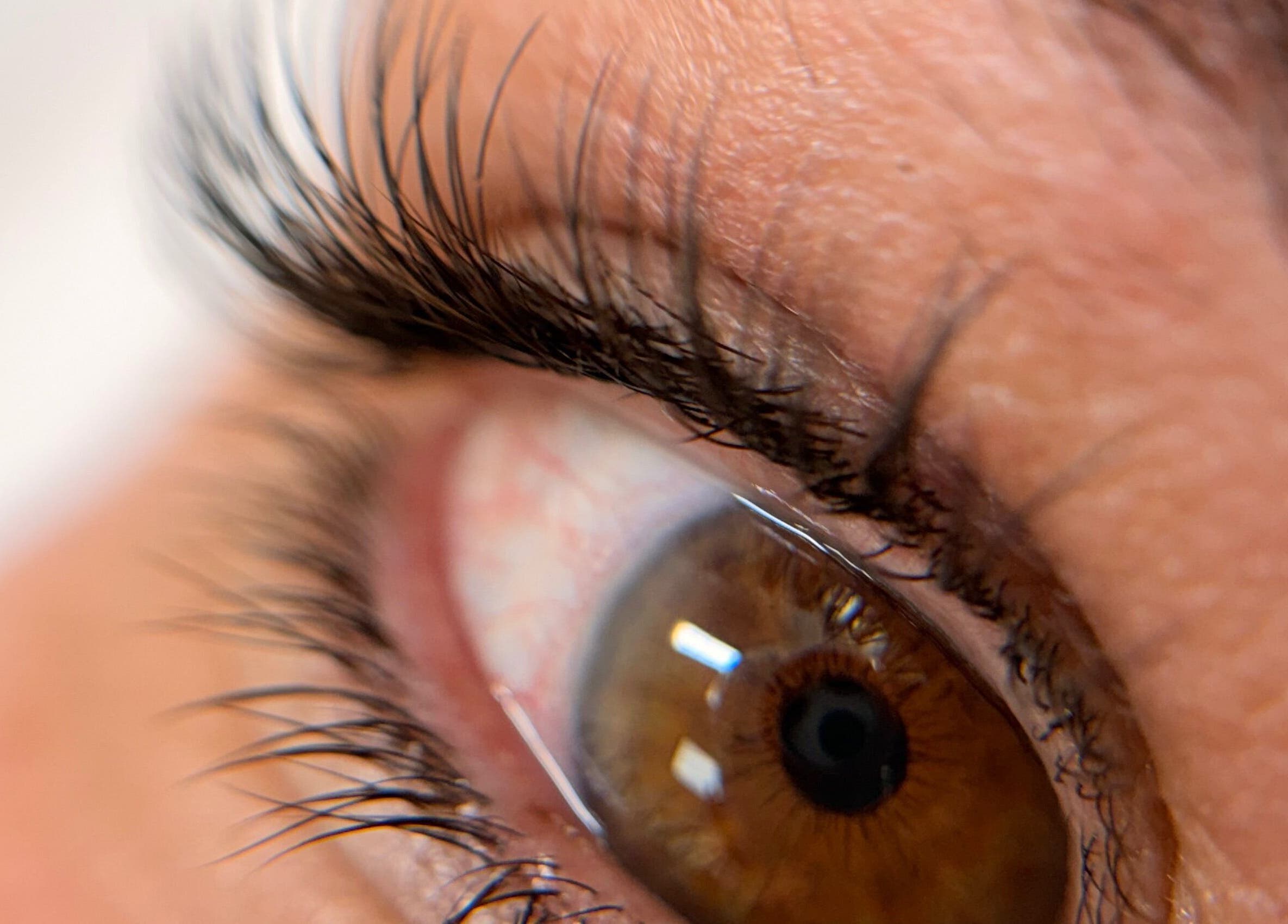 Closeup of eye showcasing luxurious lashes at Yisel Luxe Lashes, Cutler Bay, Florida, US.