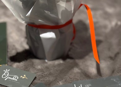 Un emballage cadeau orné d'un ruban orange à Ö Jardin Des Murmures, Lavaur, Occitanie, FR.