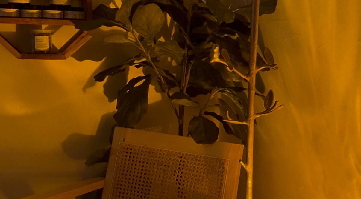 Cozy nook at Rose & Reverie Beauty in Redwood City, California, US with a wooden chair and potted plant.