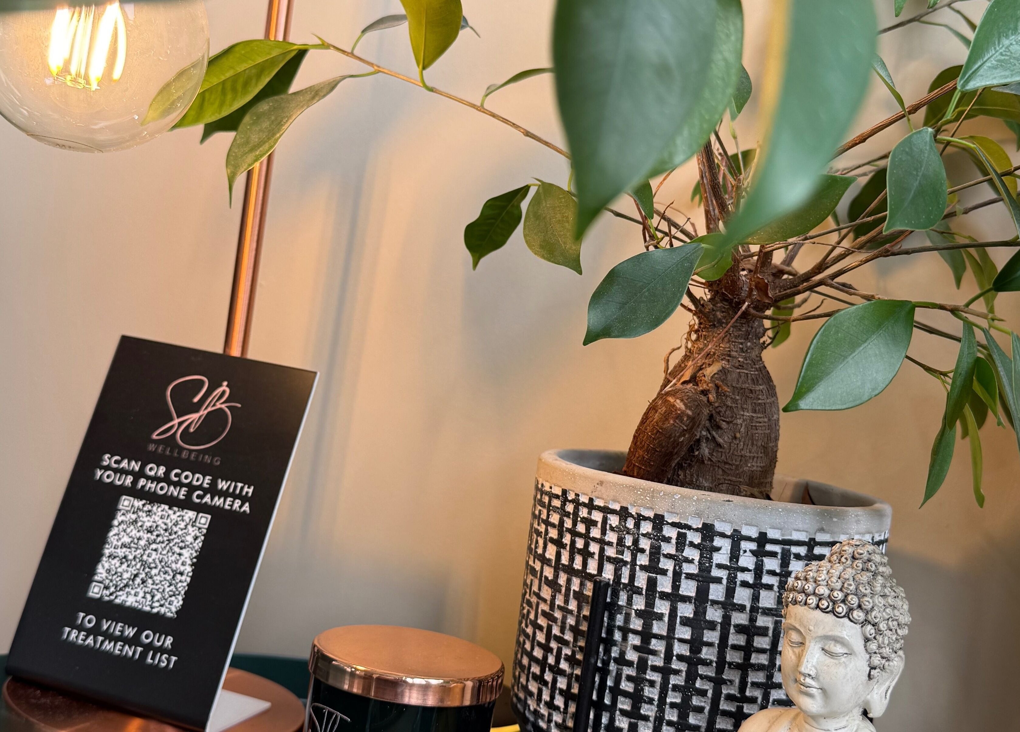 Tranquil decor with plant and Buddha statue at SB Wellbeing in Chesterfield, England, GB.