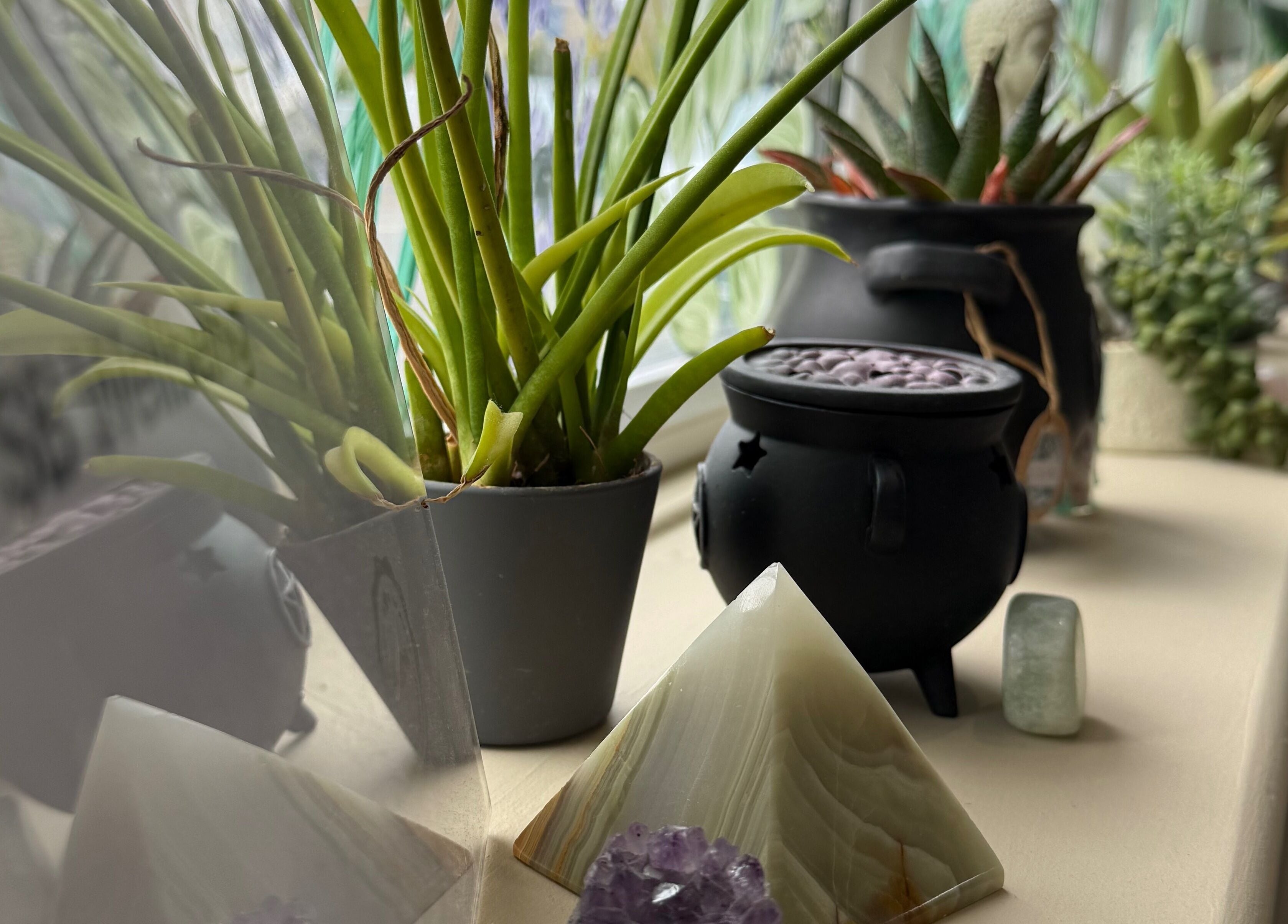 Decorative plants and crystals at SB Wellbeing / SB Academy, Chesterfield, England, GB enhancing calm ambiance.