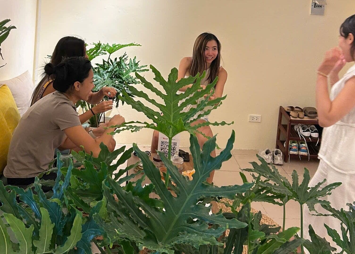 Guests enjoy a relaxing atmosphere among lush plants at Tropi Q - Head herbal spa, Hà Nội, Hà Nội, VN.