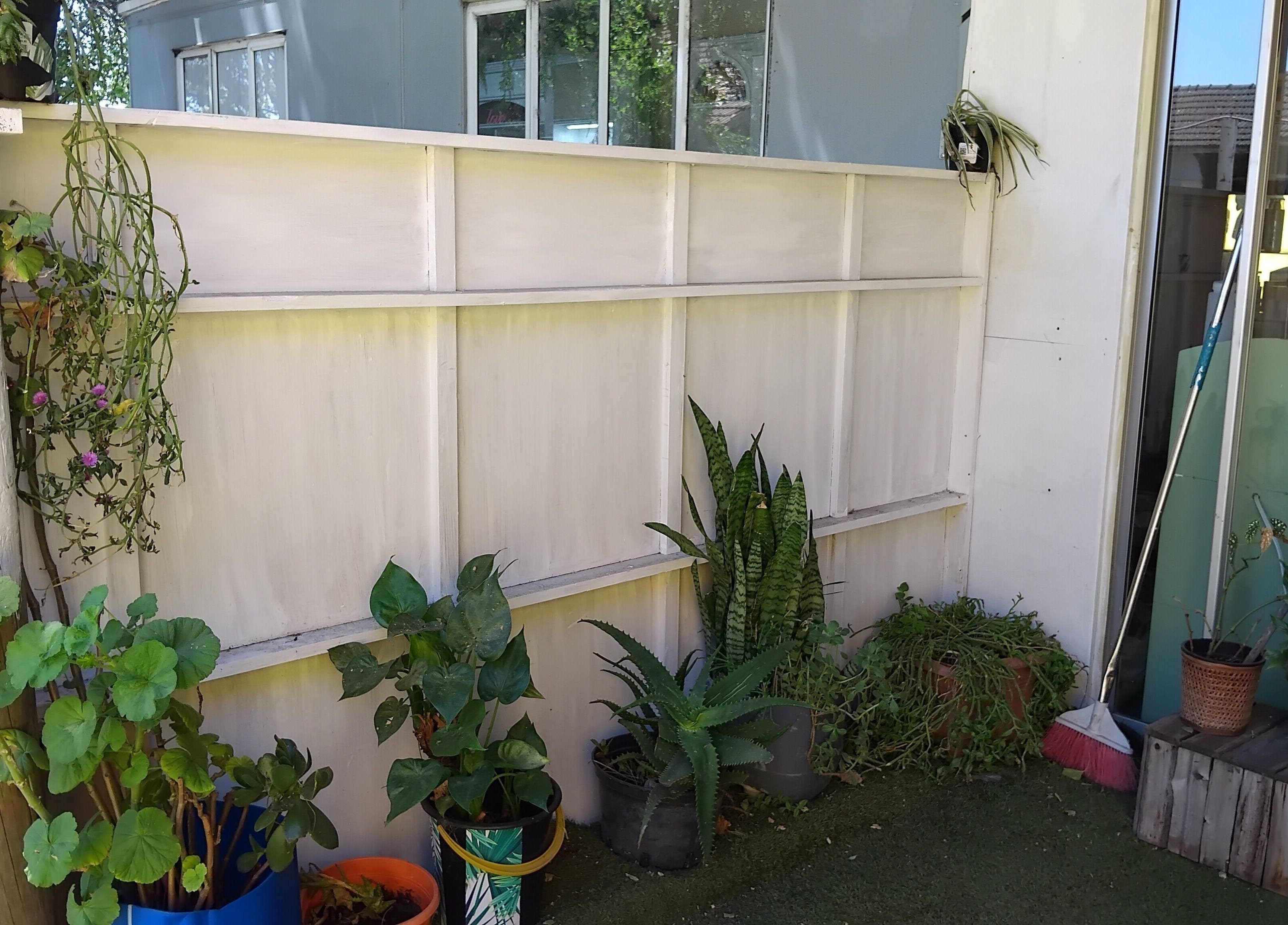 Antwaan Hair Studio 82 in Cape Town, lush plants create a serene corner of natural beauty.