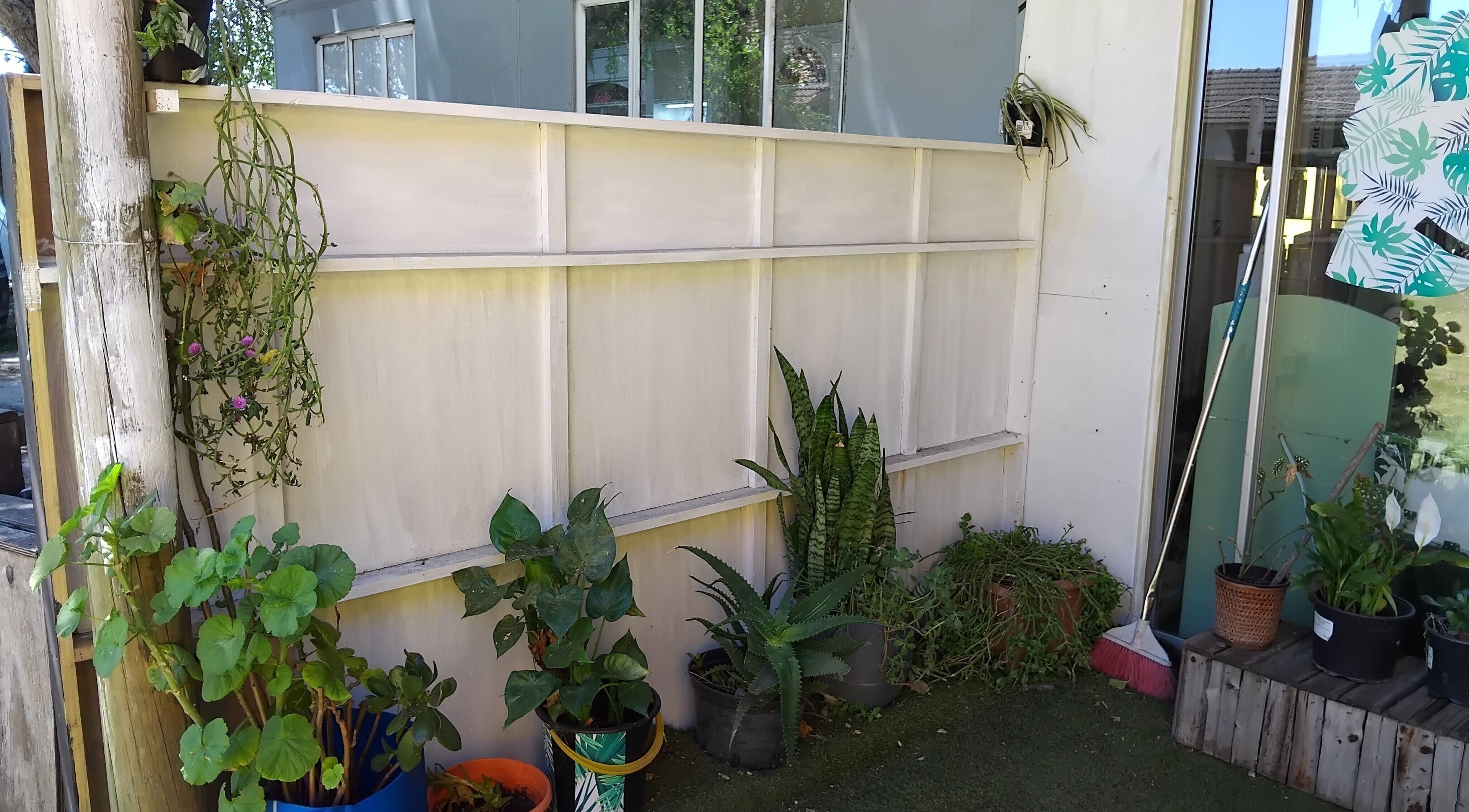 Antwaan Hair Studio 82 in Cape Town, lush plants create a serene corner of natural beauty.