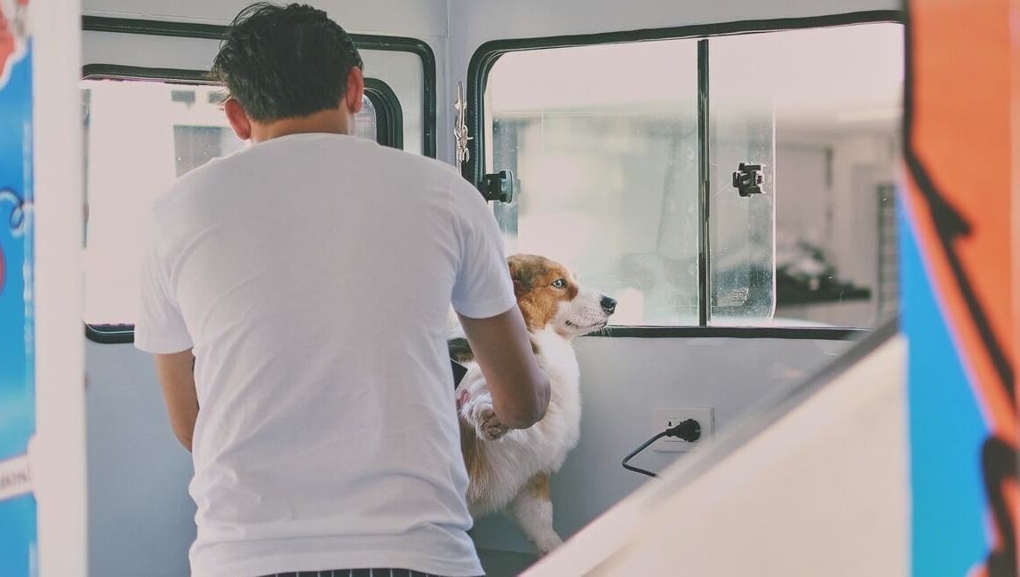 Scoobs And Boops Mobile Pet Grooming in Parañaque, Metro Manila, PH offering dog care in mobile unit.