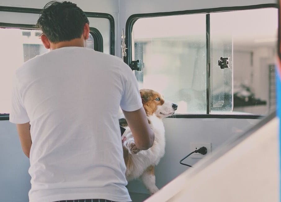 Scoobs And Boops Mobile Pet Grooming in Parañaque, Metro Manila, PH offering dog care in mobile unit.