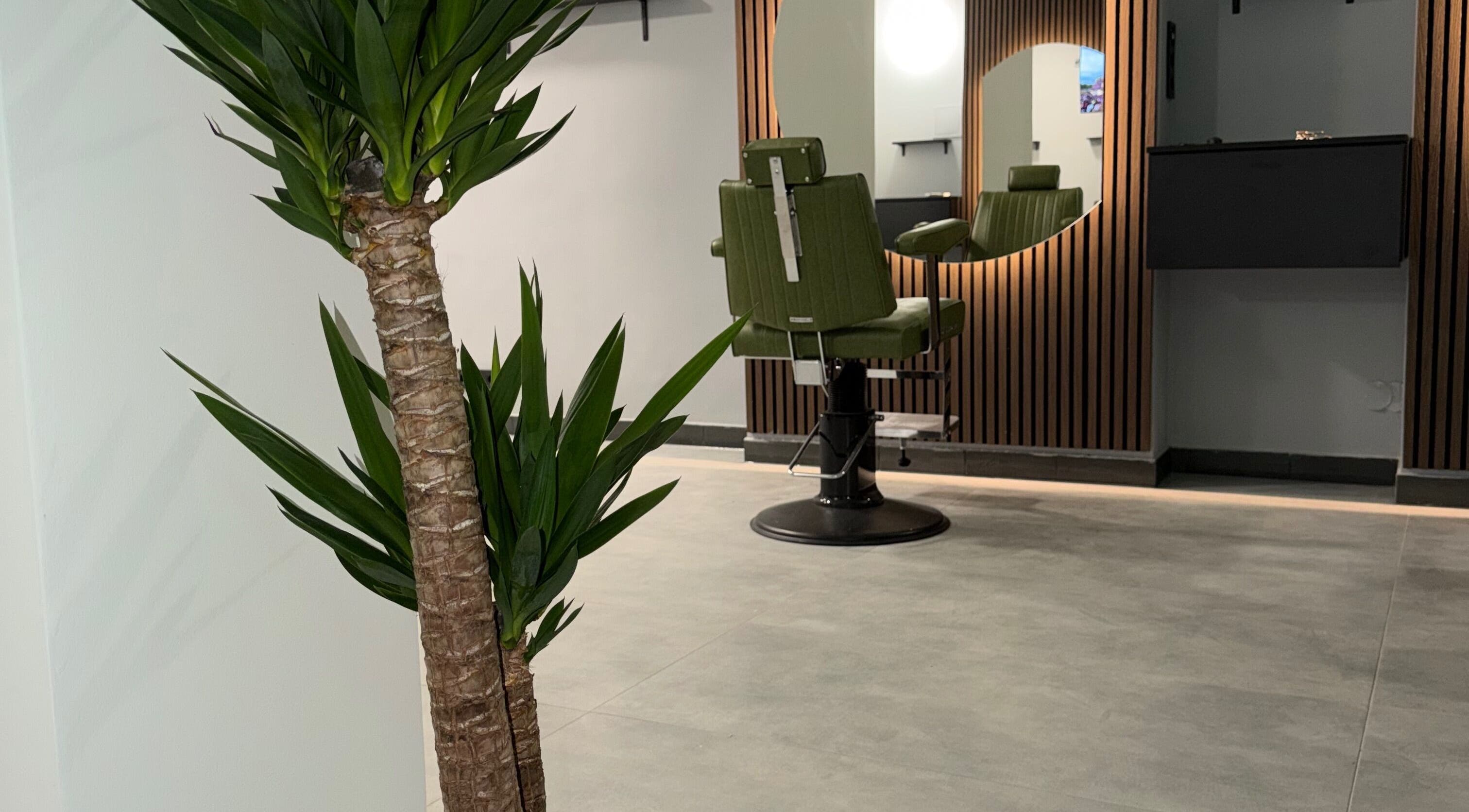 BASE HAIR Budapest minimalista szalon belső tér, Budapest, Magyar, HU, modern zöld szék és dekoráció.