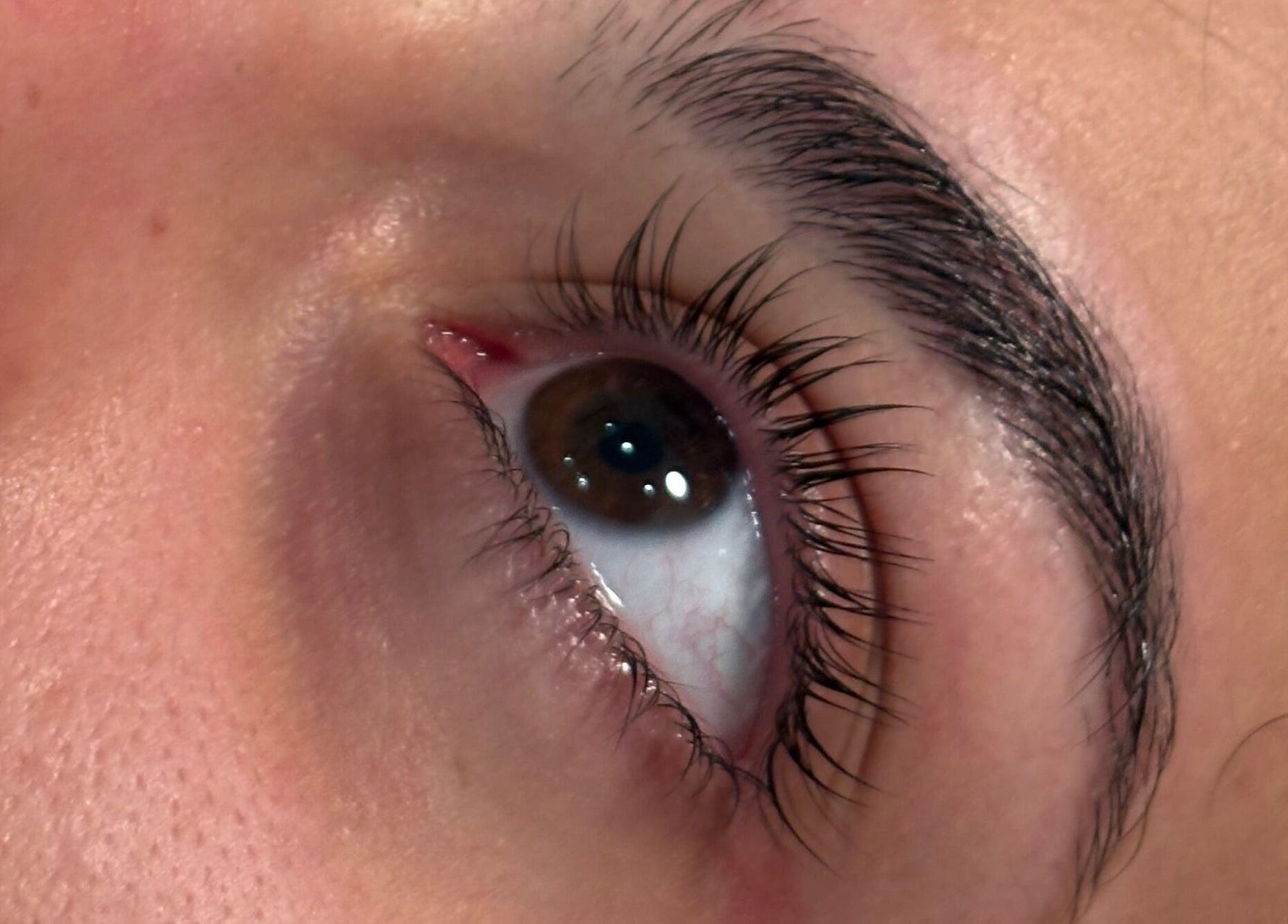 Close-up of beautifully styled lashes at Beauty Studio Gabi, Braga, Braga, PT.