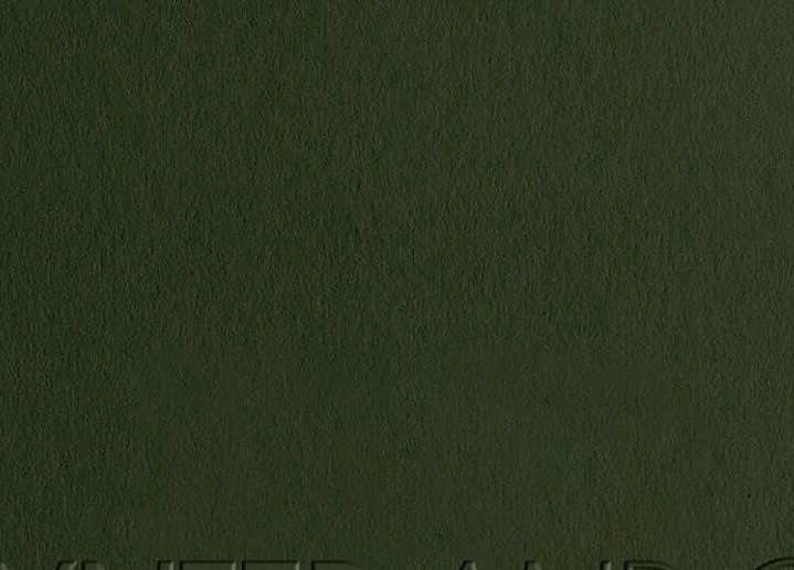 Olive green textured wall at Wynter and Co, Newcastle upon Tyne, England, GB, promoting tranquility.