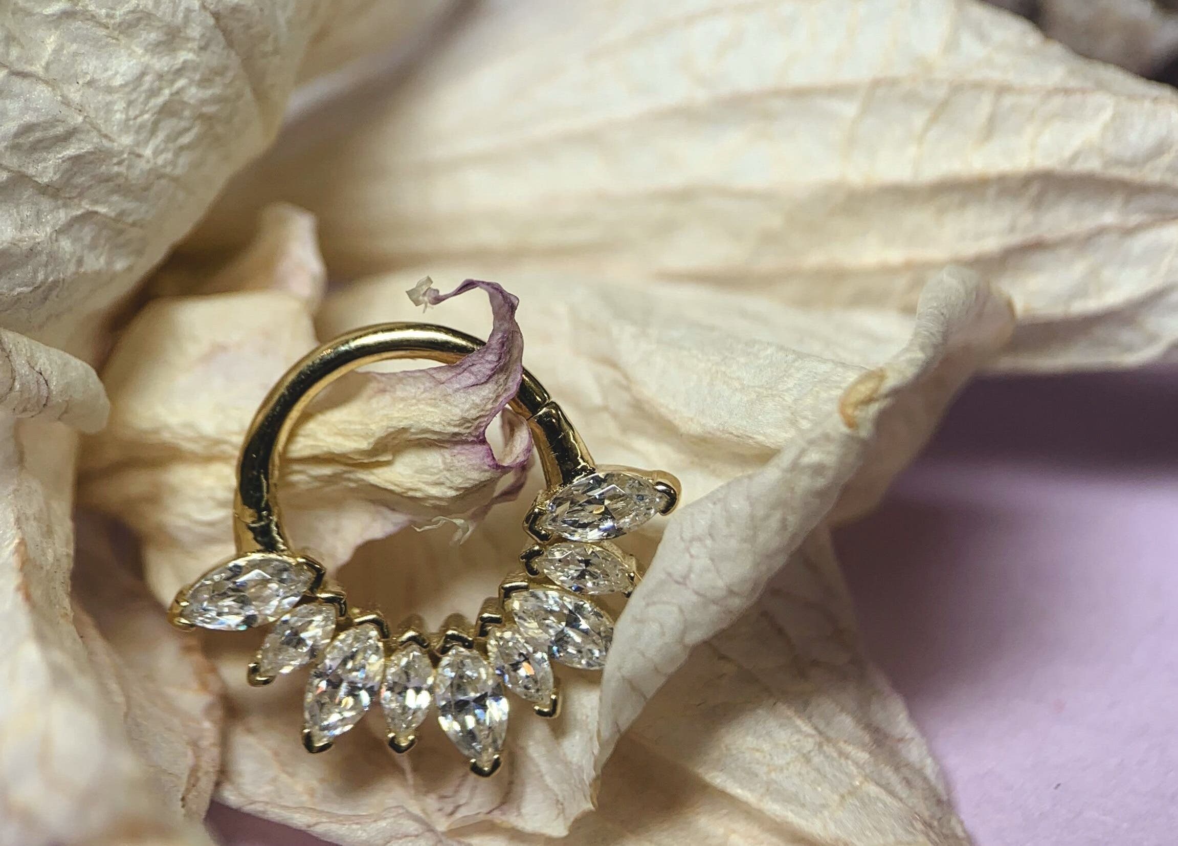 Anello dorato brillante presso Piercing - Lev.19:28 Frosinone, Frosinone, Lazio, IT.