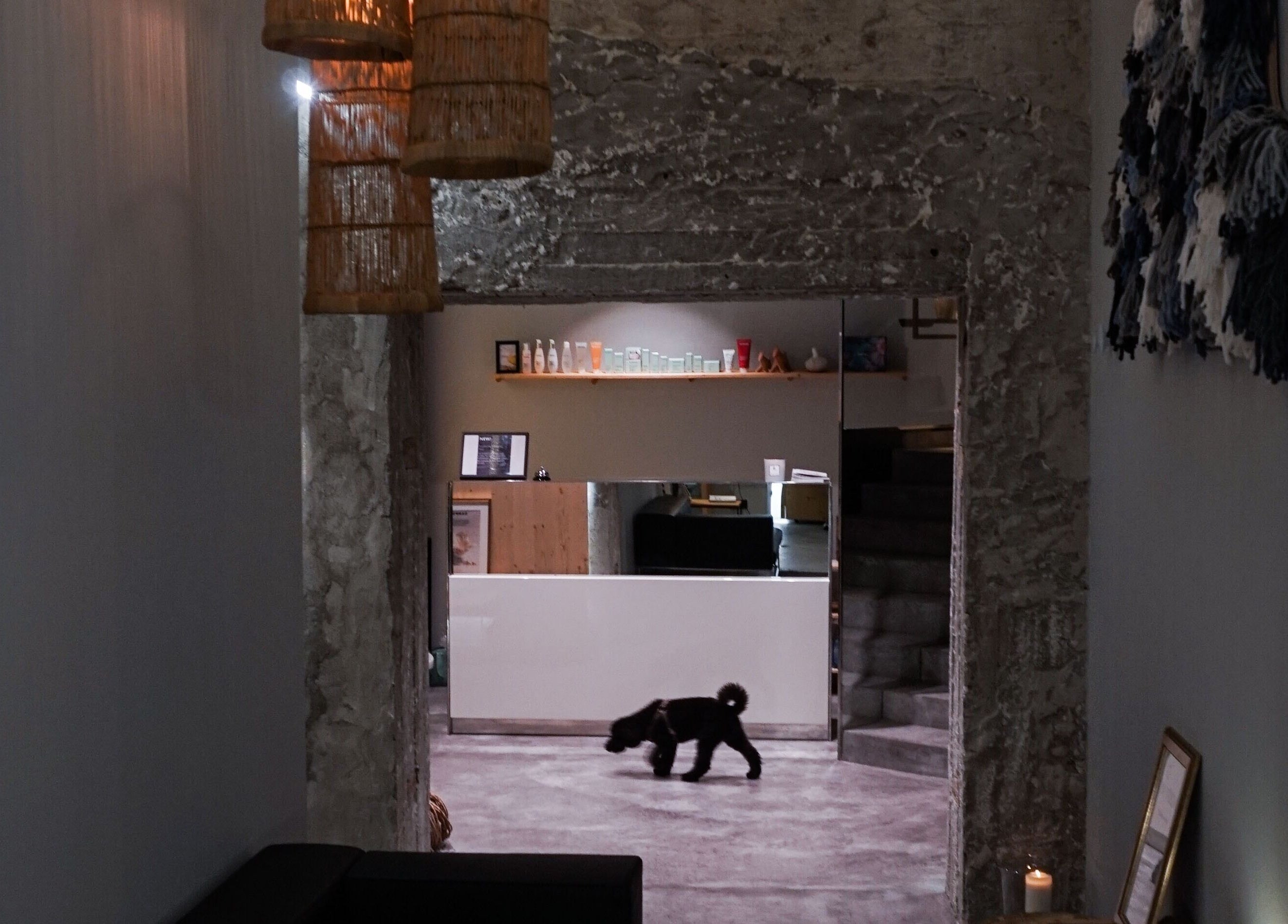 Inviting interior at Koncept Beauty, Sofia, Sofia City Province, BG. Modern decor and relaxing ambiance.