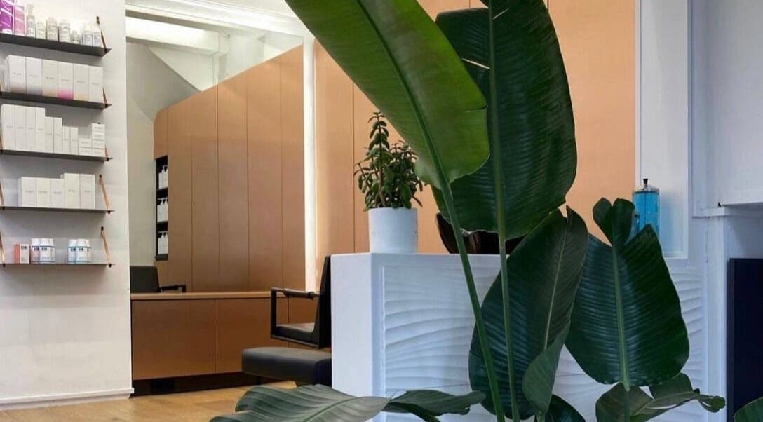 Gezellige, moderne ruimte bij Faces met planten en schoonheidsproducten in Amsterdam, Noord-Holland, NL.