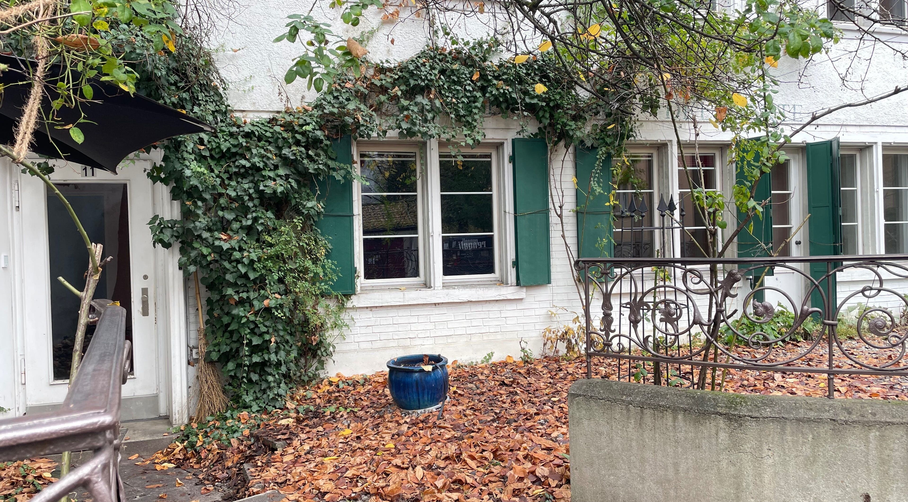 Facciata con edera al Lab.23 Barbershop, Zürich, Zürich, CH, in autunno.