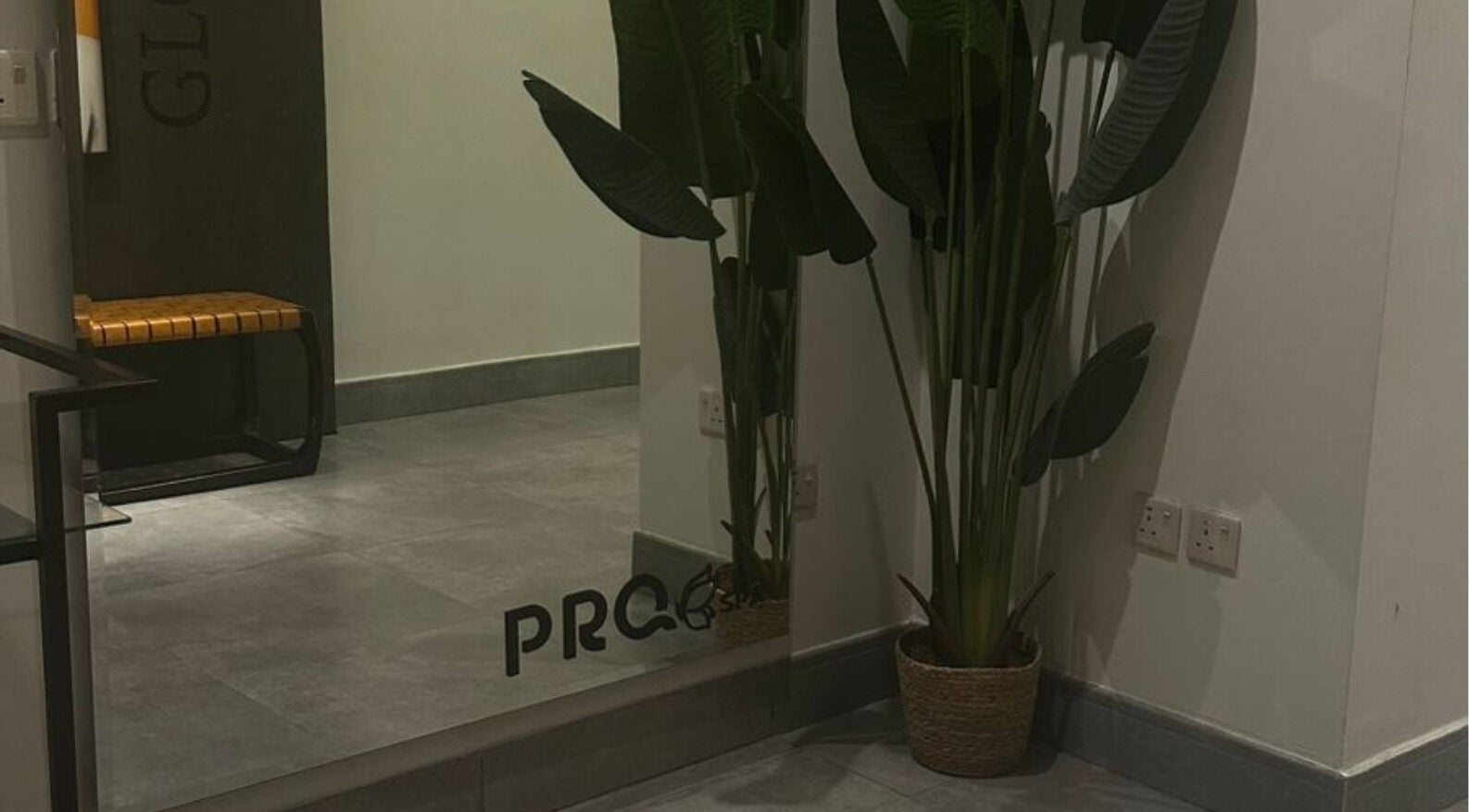 زاوية هادئة في Pro Spa Beauty بعبا، منطقة عسير، تحتوي على نباتات وزخرفة أنيقة.