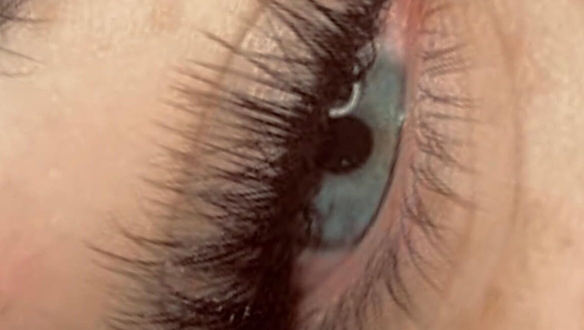 Close-up of finely detailed lashes from Lashaddiction in Sheffield, England, GB.